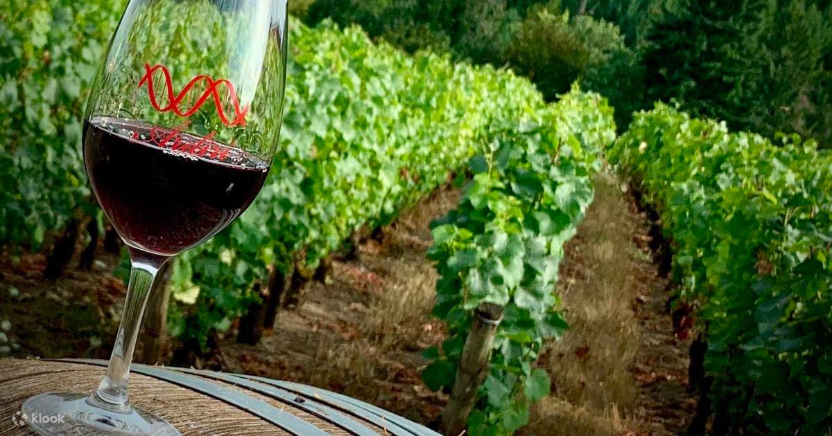 Willamette valley hotsell wine tours